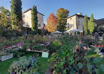 “Magici Intrecci Autunnali”: l’11, 12 e 13 ottobre appuntamento al Castello di Strassoldo di Sopra (UD)
