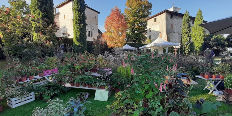 “Magici Intrecci Autunnali”: l’11, 12 e 13 ottobre appuntamento al Castello di Strassoldo di Sopra (UD)