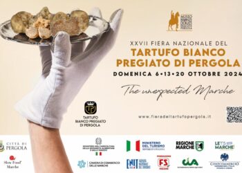 Da domenica 6 ottobre la Fiera Nazionale del Tartufo Bianco Pregiato di Pergola