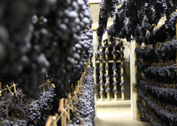 Appassimenti Aperti: a Serrapetrona (MC) due giorni per celebrare la Vernaccia Nera