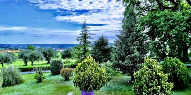 Garden Sharing: le migliori strutture da regalare