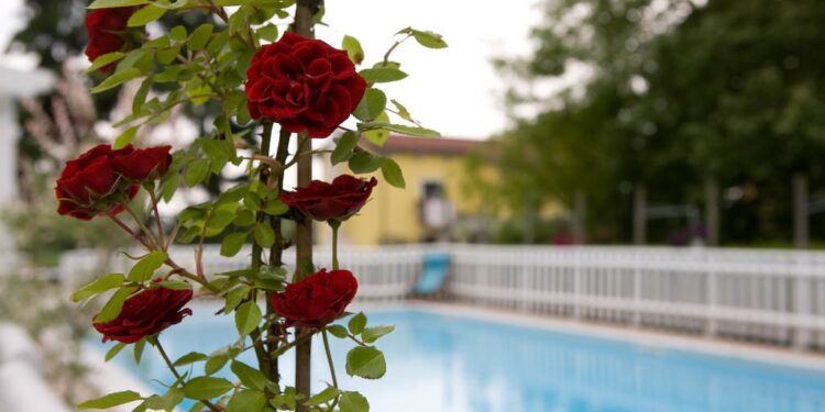 Garden Sharing: le strutture vicino alle terme