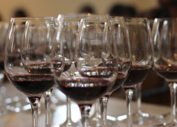 “Vini delle Coste”: il 30 e 31 marzo Lucca protagonista della primavera