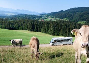 La primavera chiama: è tempo di nuove avventure con Carthago!