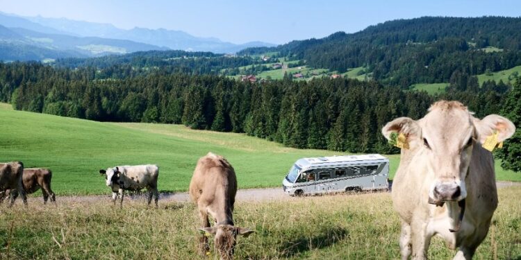 La primavera chiama: è tempo di nuove avventure con Carthago!