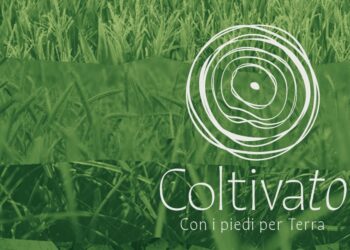 Dal 20 al 23 marzo a Torino torna Coltivato, il Festival Internazionale dell’Agricoltura