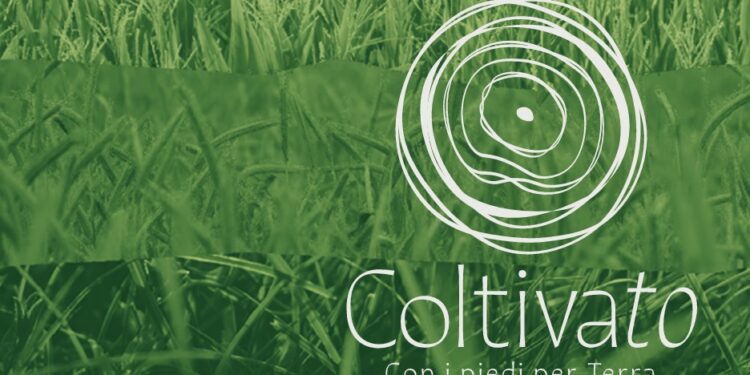 Dal 20 al 23 marzo a Torino torna Coltivato, il Festival Internazionale dell’Agricoltura