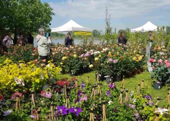 Il 29 e 30 marzo nel Lido Po di Guastalla e di Gualtieri (RE) la Festa della terra, delle acque e del lavoro nei campi