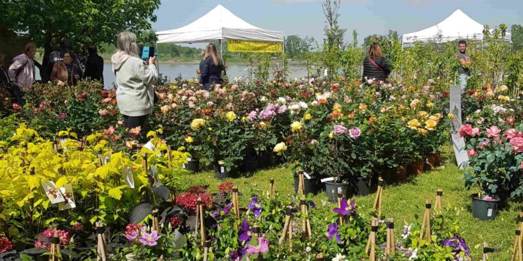 Il 29 e 30 marzo nel Lido Po di Guastalla e di Gualtieri (RE) la Festa della terra, delle acque e del lavoro nei campi