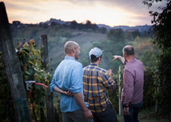 SoloVino: il 15 marzo torna in Piemonte la fiera-mercato dedicata ai vini artigianali