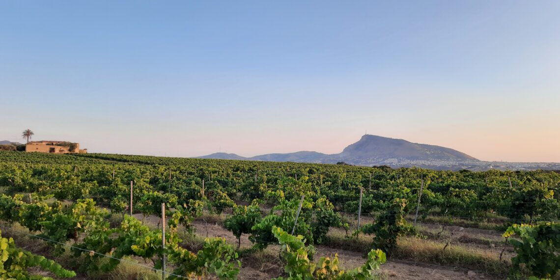 Nuova Convenzione Tessera Turit con l’Azienda Agricola Asta (PA)