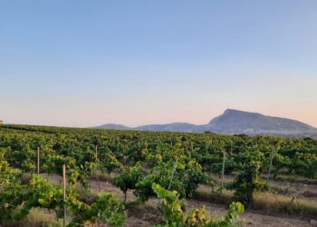 Nuova Convenzione Tessera Turit con l’Azienda Agricola Asta (PA)