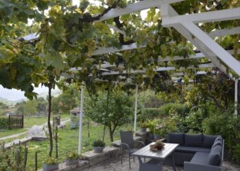 Nuova Convenzione Tessera Turit con il B&B Masseria U Saliére (PZ)