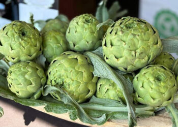 Dal 25 aprile ad Auletta (SA) torna Bianco Tanagro, il Festival del carciofo bianco