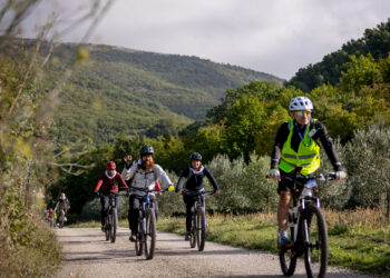 “Pedalate & buon gusto”: da aprile a novembre in Umbria tanti appuntamenti con il ciclo/oleoturismo