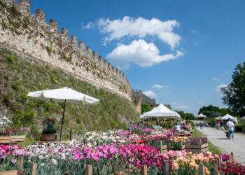 I migliori eventi da non perdere nel fine settimana 11-12-13 aprile