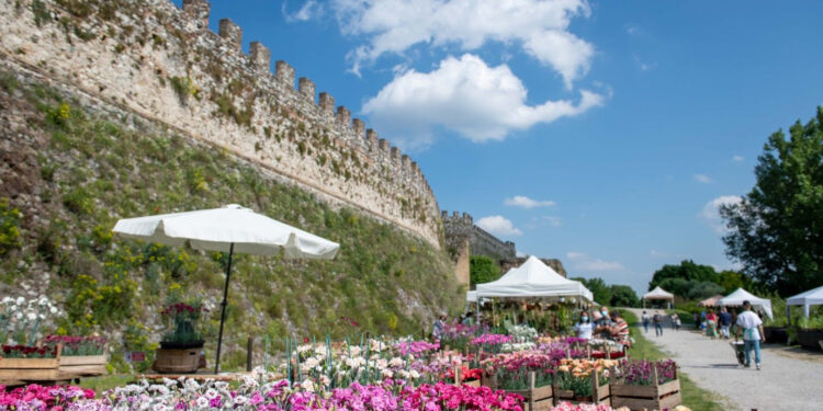 I migliori eventi da non perdere nel fine settimana 11-12-13 aprile