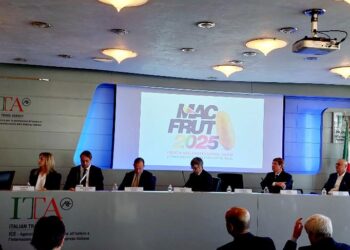 Macfrut 2025, un evento sempre più internazionale: appuntamento dal 6 all’8 maggio a Rimini