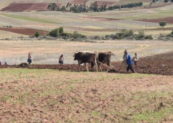 Diario di Viaggio: alla scoperta dei mestieri del mondo