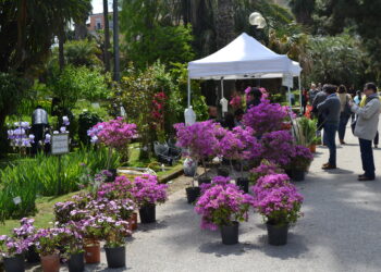 Dal 2 al 4 maggio all’Orto Botanico di Napoli torna “Planta, il giardino e non solo”