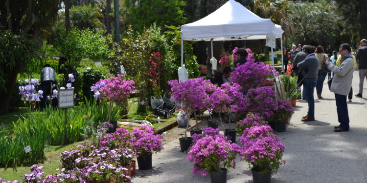 Dal 2 al 4 maggio all’Orto Botanico di Napoli torna “Planta, il giardino e non solo”