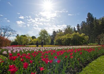 Tanti eventi fioriti in primavera nel Distretto Turistico dei Laghi