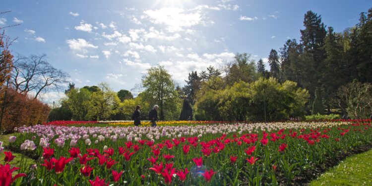 Tanti eventi fioriti in primavera nel Distretto Turistico dei Laghi