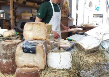 Formaggio in Villa: dall’11 al 14 aprile, Cittadella (PD) si trasforma in un villaggio del formaggio