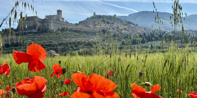 Estate in Umbria: le novità tra eventi, cultura e outdoor