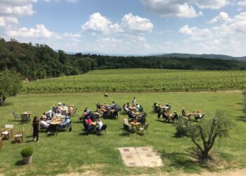 Il 24 e 25 maggio torna Cantine Aperte, l’atteso appuntamento vinicolo italiano