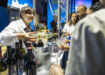 Calabria, a Cirò Marina si è svolta una grande kermesse enologica