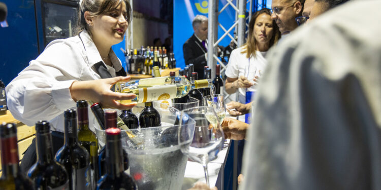 Calabria, a Cirò Marina si è svolta una grande kermesse enologica