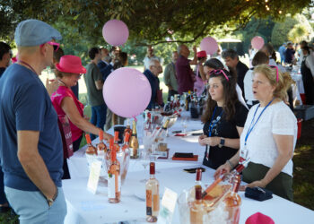 Martedì 1 luglio a Roma “Bererosa”, l’evento che celebra i rosati italiani