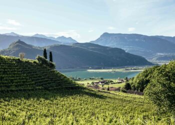 Enoturismo in Alto Adige: cosa fare d’estate tra cantine, natura e sport