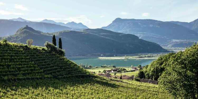 Enoturismo in Alto Adige: cosa fare d’estate tra cantine, natura e sport