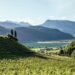 Enoturismo in Alto Adige: cosa fare d’estate tra cantine, natura e sport