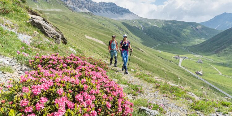 Il bicentenario della strada dello Stelvio: quattro escursioni per scoprire il passo più famoso delle Alpi