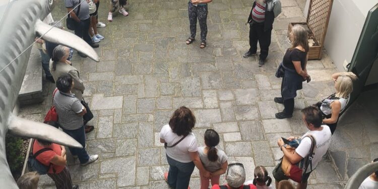 I martedì sera di Besano: Passeggiate per godere della brezza serale e visita al Museo dei Fossili