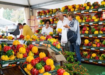 A Carmagnola torna la Fiera del Peperone: dal 29 agosto al 7 settembre un omaggio al tesoro del Piemonte