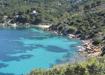 Parco Nazionale dell’Arcipelago Toscano: le escursioni per scoprirne i tesori nascosti