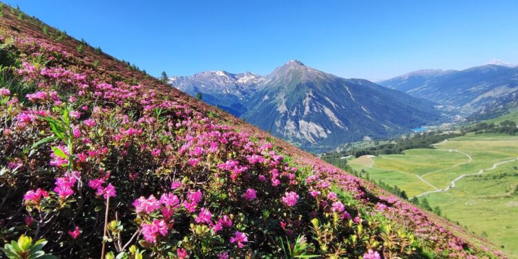 “Le Strade dei Forti”: dal Po al Monviso 13 tappe tra frutteti, castelli e dimore storiche