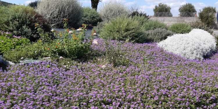 Il 13 e 14 settembre a Soverzene (BL) il Meeting Nazionale Comuni Fioriti 2025
