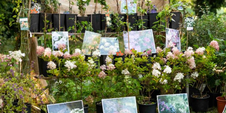 A Pavia dal 19 al 21 settembre la IV edizione di Horti Aperti, il Festival del verde in città