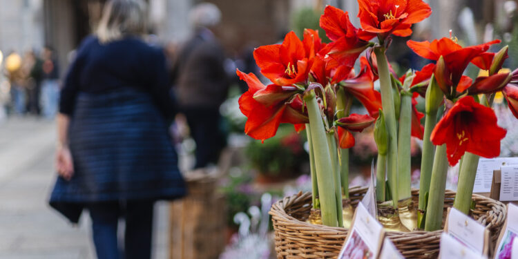 Flora et Decora: dal 10 al 12 ottobre Sant’Ambrogio (MI) si trasforma in un giardino urbano