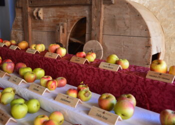 Pomaria 2025: l’11 e 12 ottobre in Val di Non torna la festa della mela