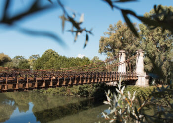 Via Francigena campana: un viaggio tra storia, natura e comunità