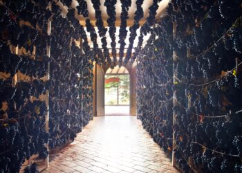 Il 9 e 16 novembre a Serrapetrona (MC) torna Appassimenti Aperti, la festa della Vernaccia Nera