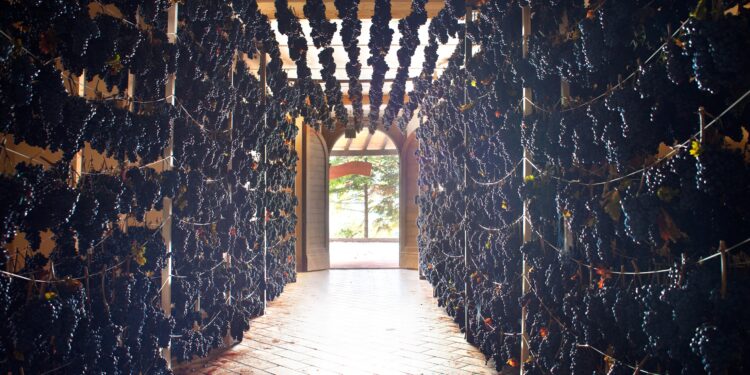 Il 9 e 16 novembre a Serrapetrona (MC) torna Appassimenti Aperti, la festa della Vernaccia Nera