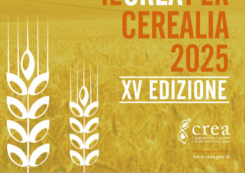 Sapori e Saperi del Mediterraneo: fino al 31 ottobre “Cerealia – La festa dei cereali”