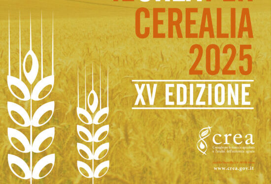 Sapori e Saperi del Mediterraneo: fino al 31 ottobre “Cerealia – La festa dei cereali”